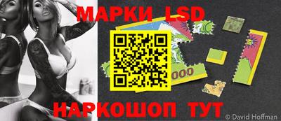дживик Аша
