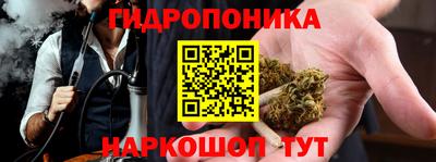 дживик Аша