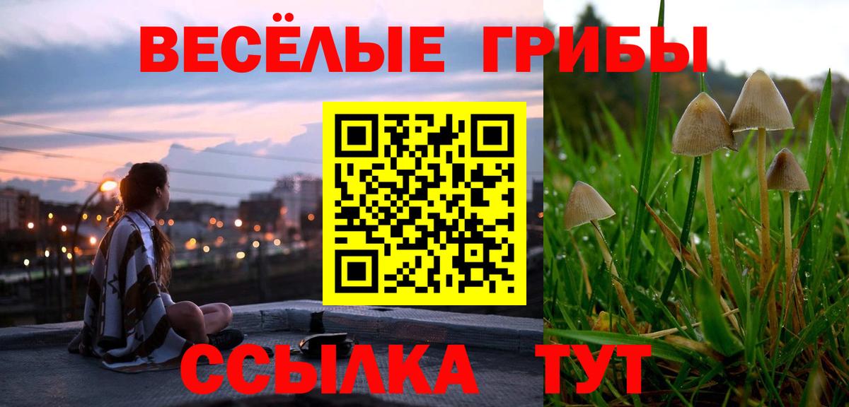 Галлюциногенные грибы прущие грибы Верхняя Салда