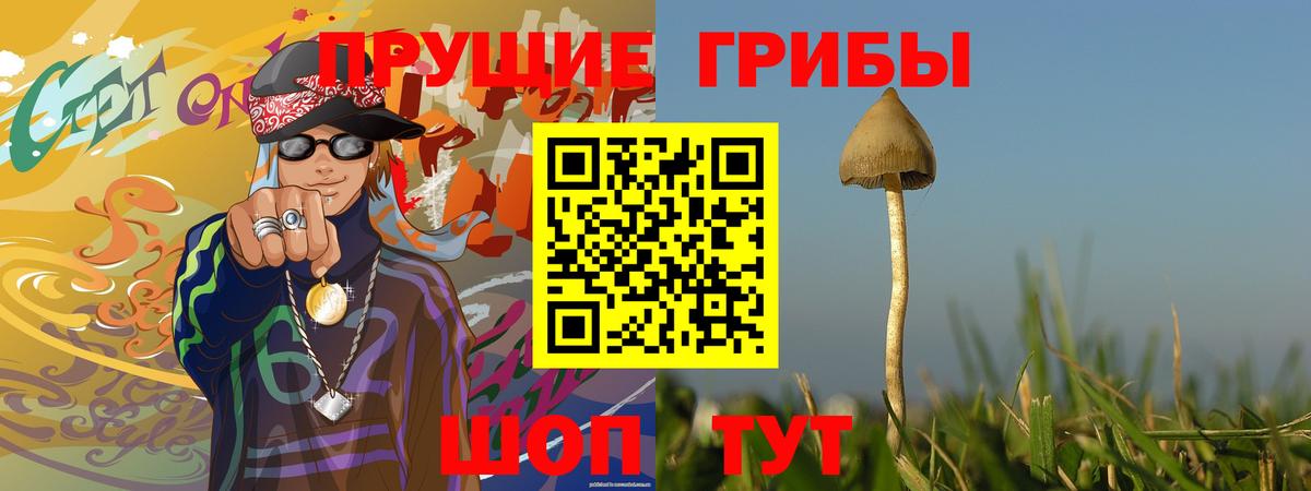 Верхняя Салда  Псилоцибиновые грибы прущие грибы  Галлюциногенные грибы Cubensis  Вход с VPN 